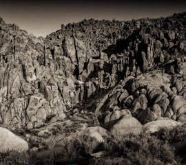 Chorale 1991, Archival pigment print